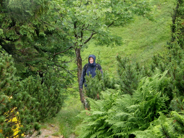 P7070827M.JPG