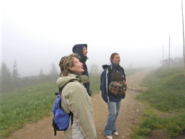 P7080956M.JPG