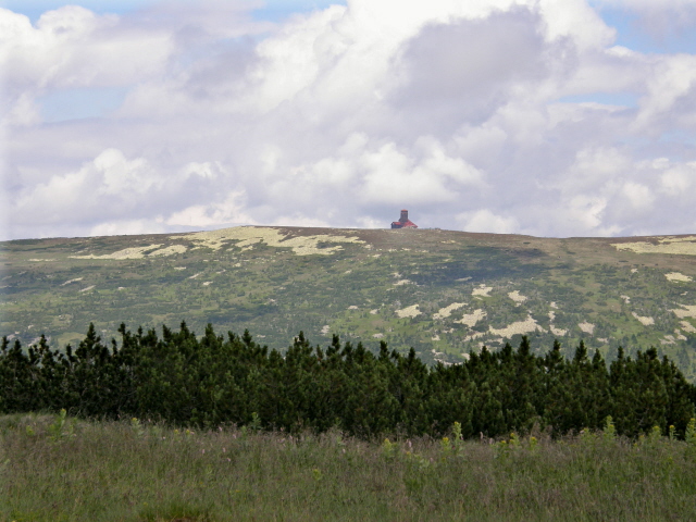 P7091113M.JPG