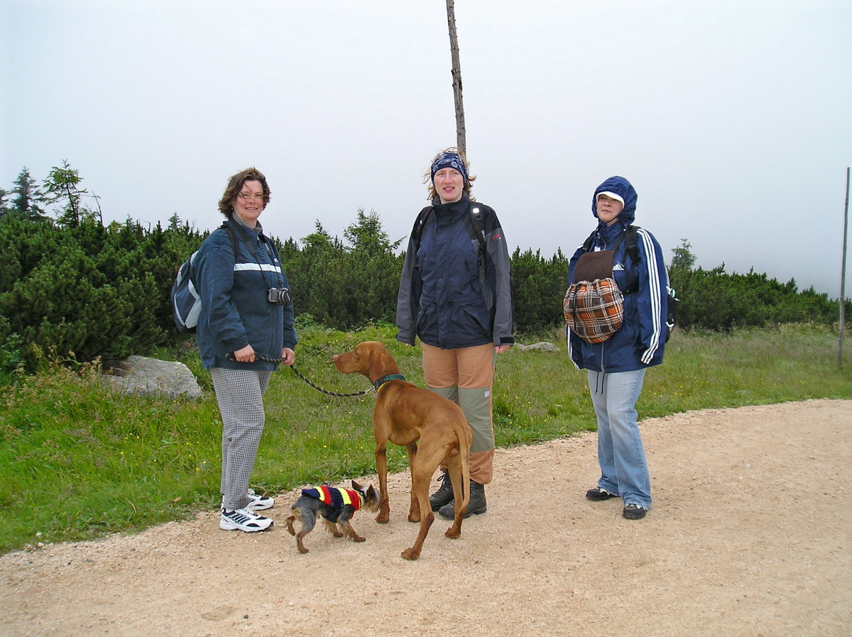 P7052787mis.JPG