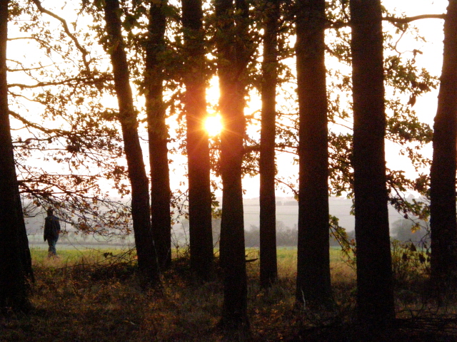 PA210265.JPG