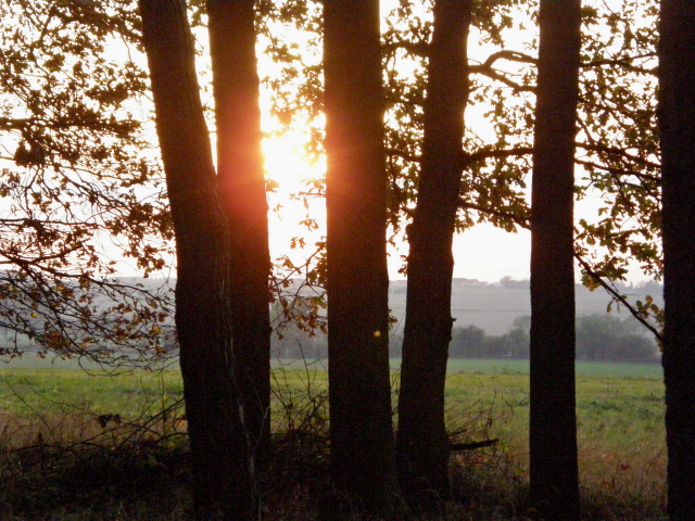 PA210267.JPG