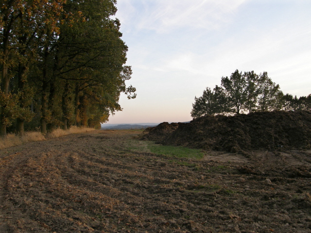 PA210238.JPG