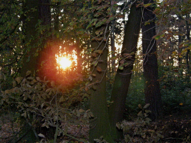 PA210254.JPG