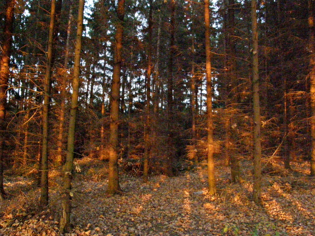 PA210259.JPG