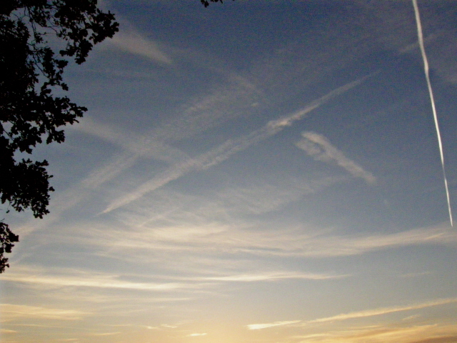 PA210272.JPG