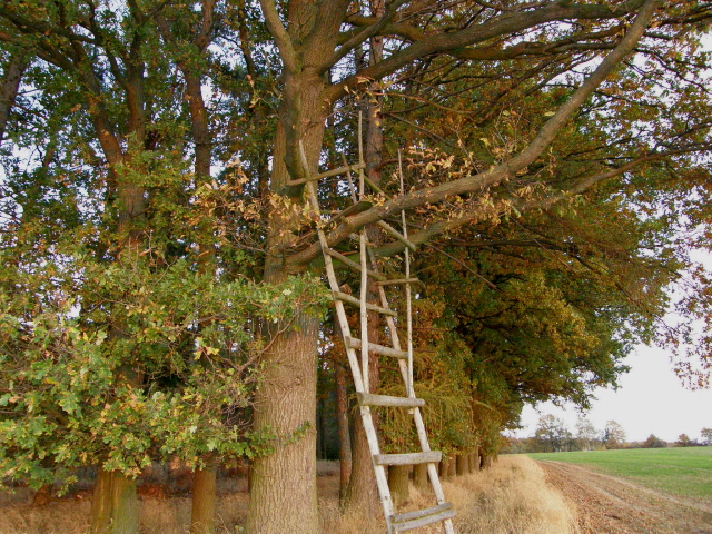 PA210295.JPG