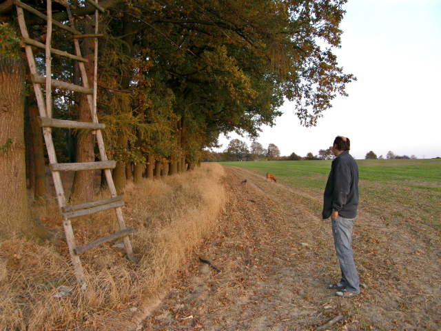 PA210296.JPG