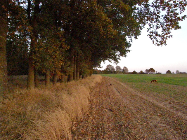 PA210301.JPG