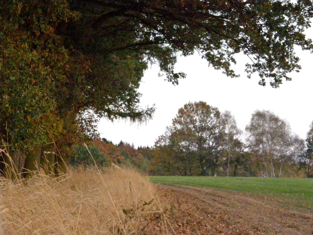 PA210303.JPG