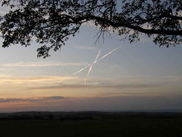 PA210306.JPG