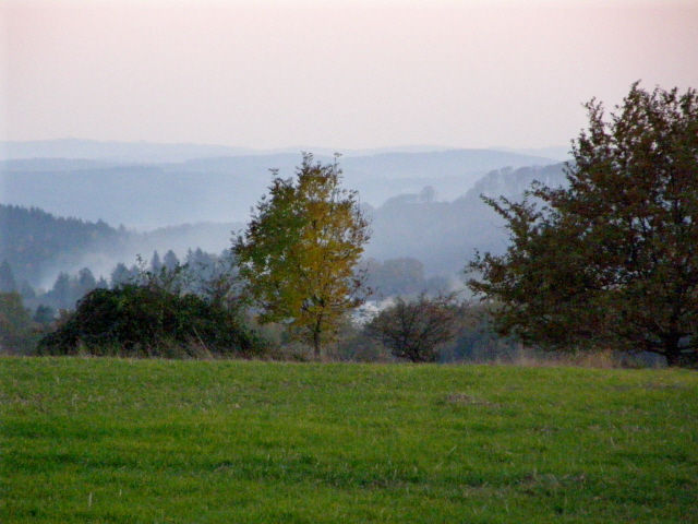 PA210324.JPG