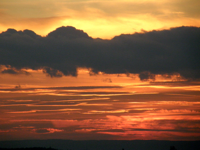 PA210325.JPG