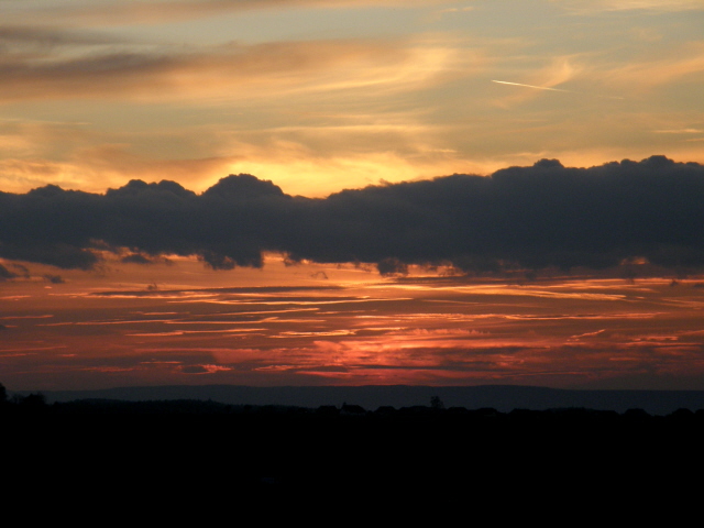 PA210326.JPG