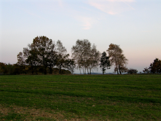 PA210332.JPG
