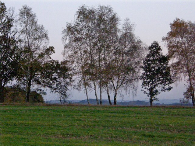 PA210335.JPG