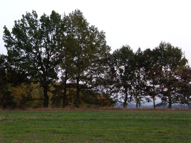 PA210344.JPG