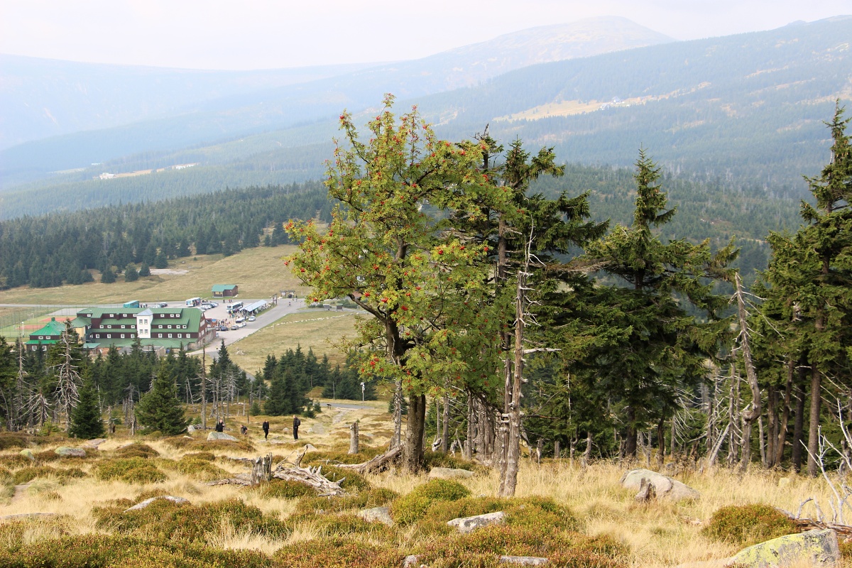 IMG_6529krkonose