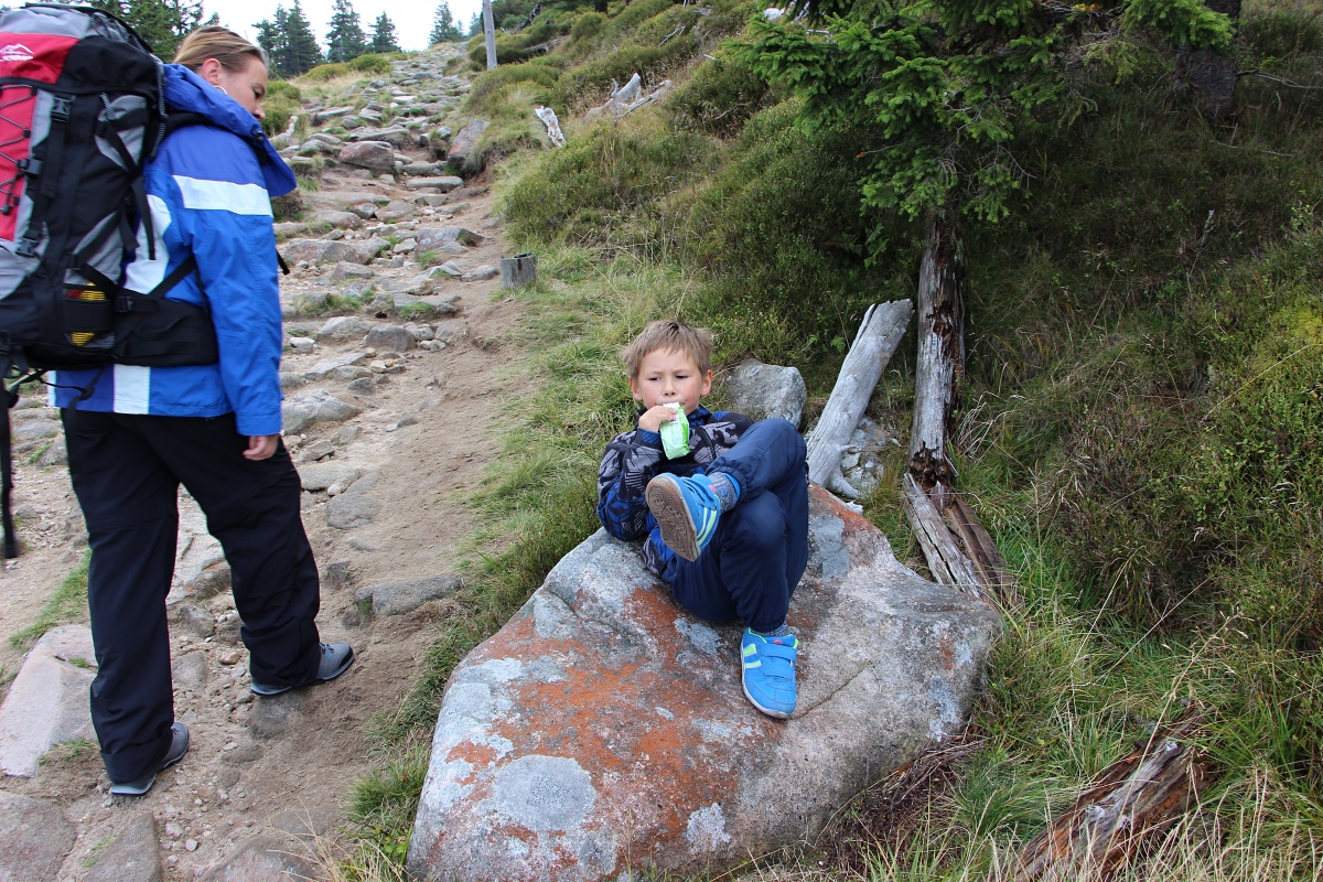 IMG_6535krkonose