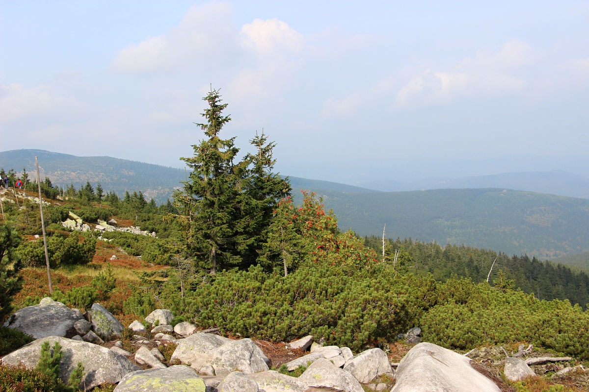 IMG_6566krkonose
