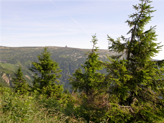 P7050414M.JPG