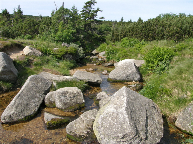P7050419M.JPG